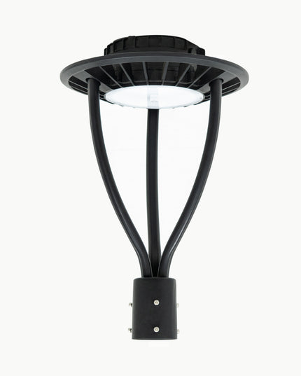 FAROLA ISLA ELÉCTRICA LUZ CÁLIDA - 60W - 100W - 10000lm