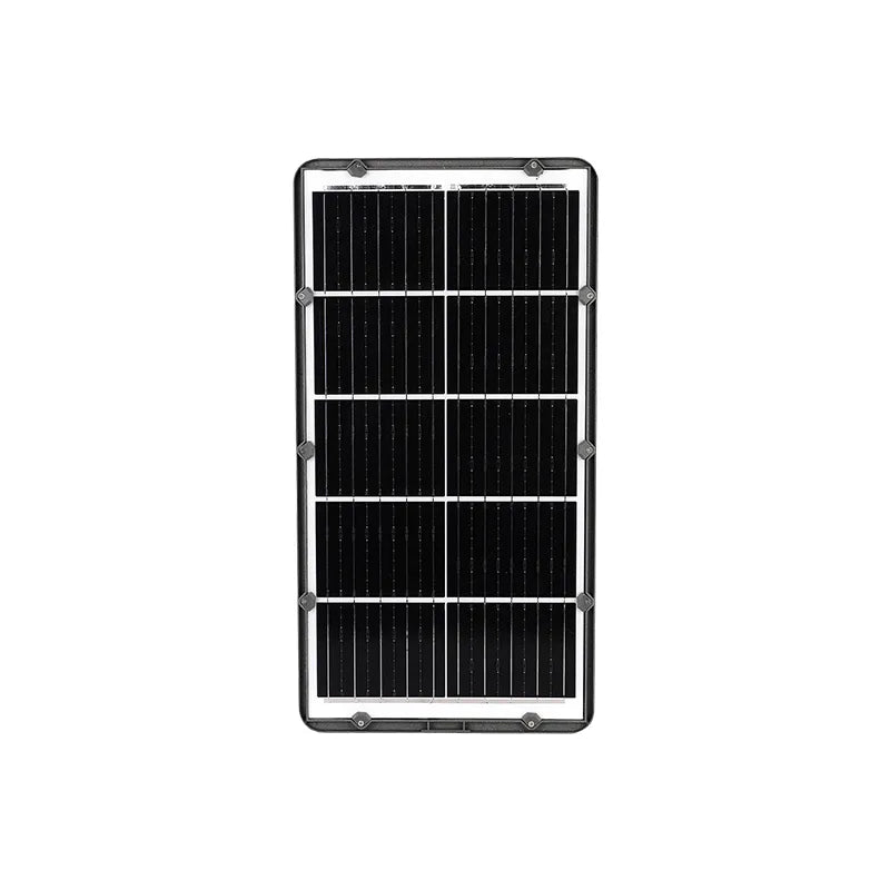 Pastoral Solar Integrado Profesional 40W