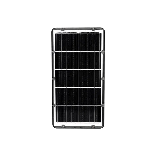 Pastoral Solar Integrado Profesional 40W